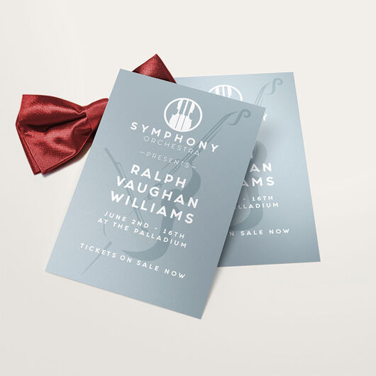 Silk Flyers